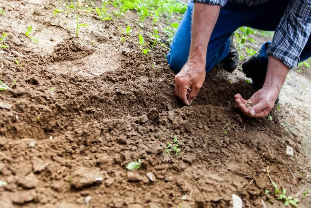 Best Ways To Prevent Soil Erosion In Your Garden