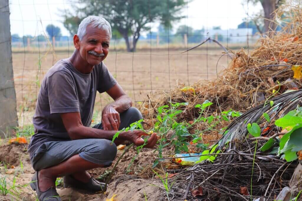 Can A Garden Be An Ecosystem?