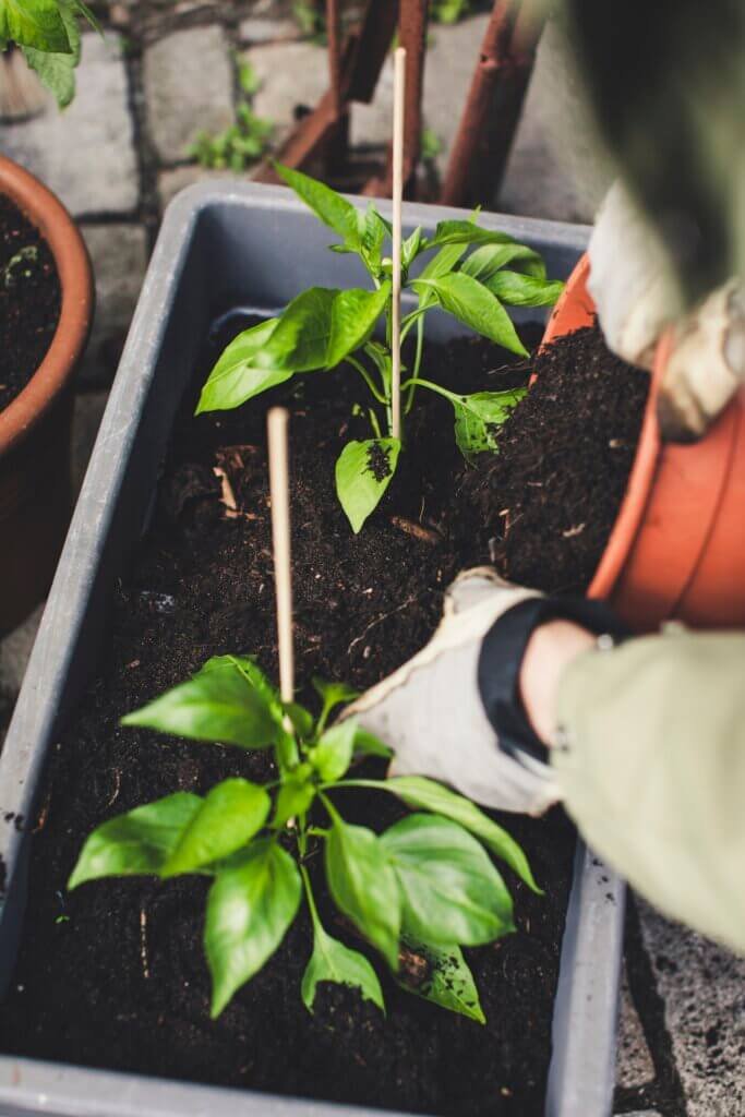 How To Build A Raised Bed Garden Sustainably