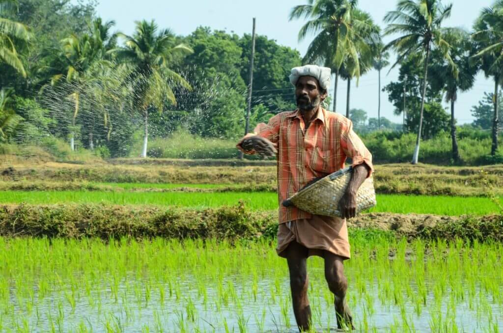 Is There A Difference Between Gardening And Farming?