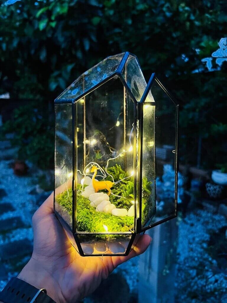 KraftStories Terrarium Kit with Geometric Wardian Case Container and Live Moss | Clear Glass Planter with Door | Moss Terrarium | Indoor Garden Ecosystem Decoration Gifts