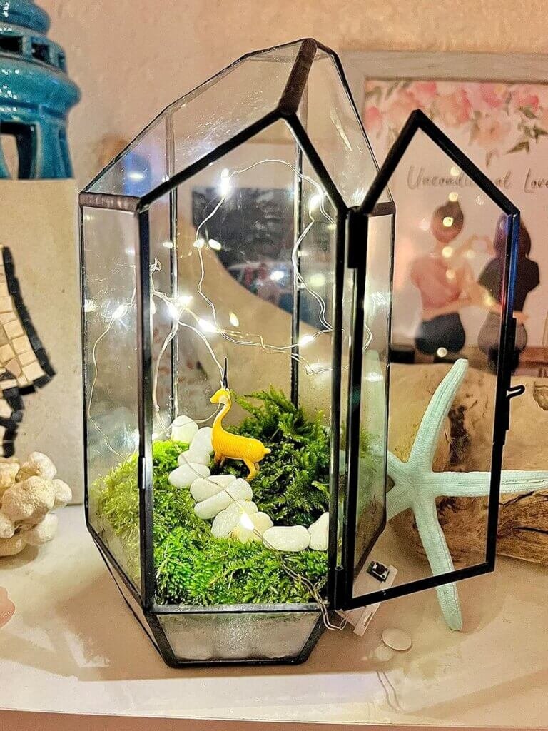 KraftStories Terrarium Kit with Geometric Wardian Case Container and Live Moss | Clear Glass Planter with Door | Moss Terrarium | Indoor Garden Ecosystem Decoration Gifts