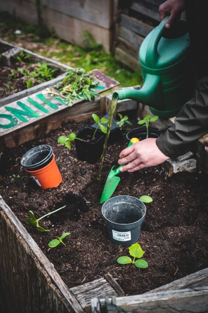 Most Popular Permaculture Techniques For Gardens