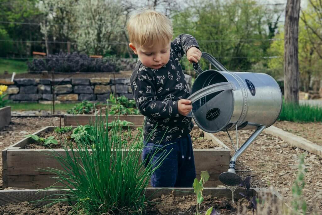 Top Eco-Friendly Gardening Techniques For Beginners