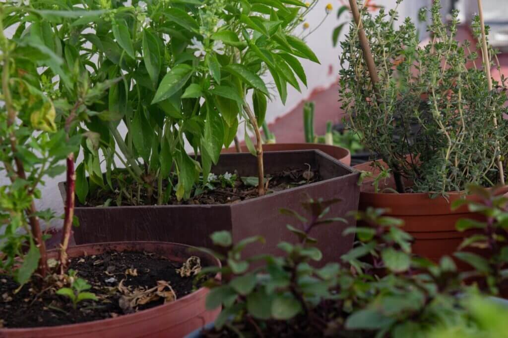 What Are The Benefits Of Organic Gardening?