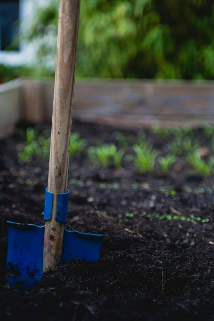 What Is A Good Size For A Community Garden?