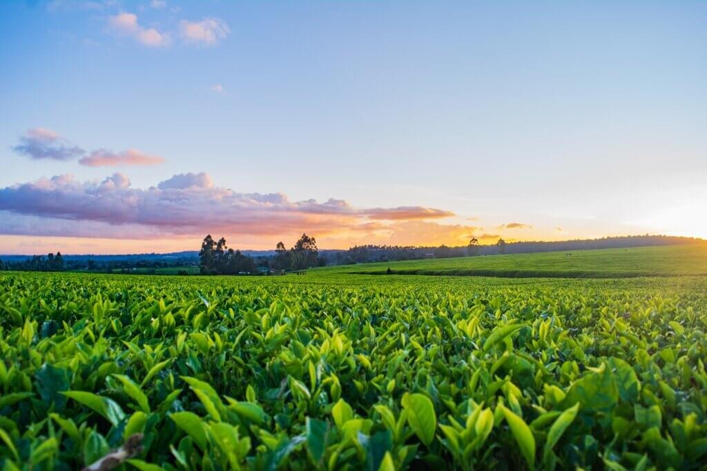 Why Is A Farmer Important To The Community?