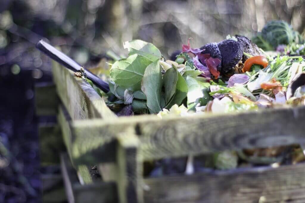 Why You Should Compost In Your Garden