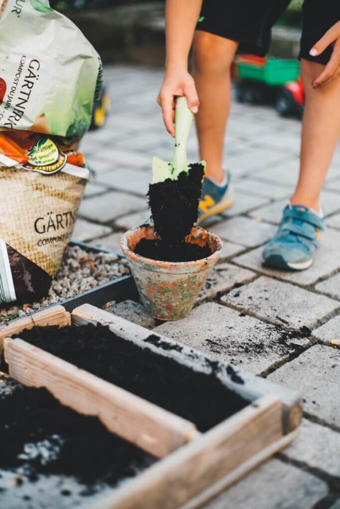 Creating Habitats For Wildlife In The Garden