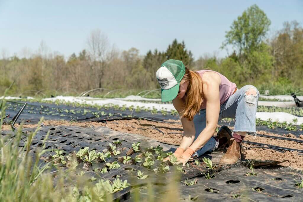 Maximizing Biodiversity In Your Garden