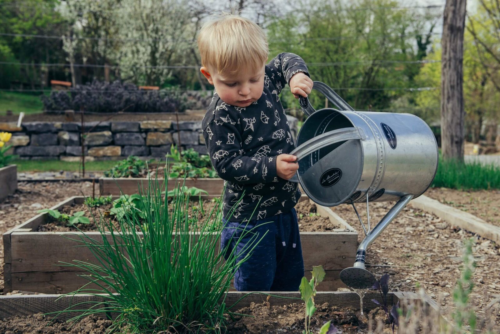 beginners guide to no dig gardening 6 scaled