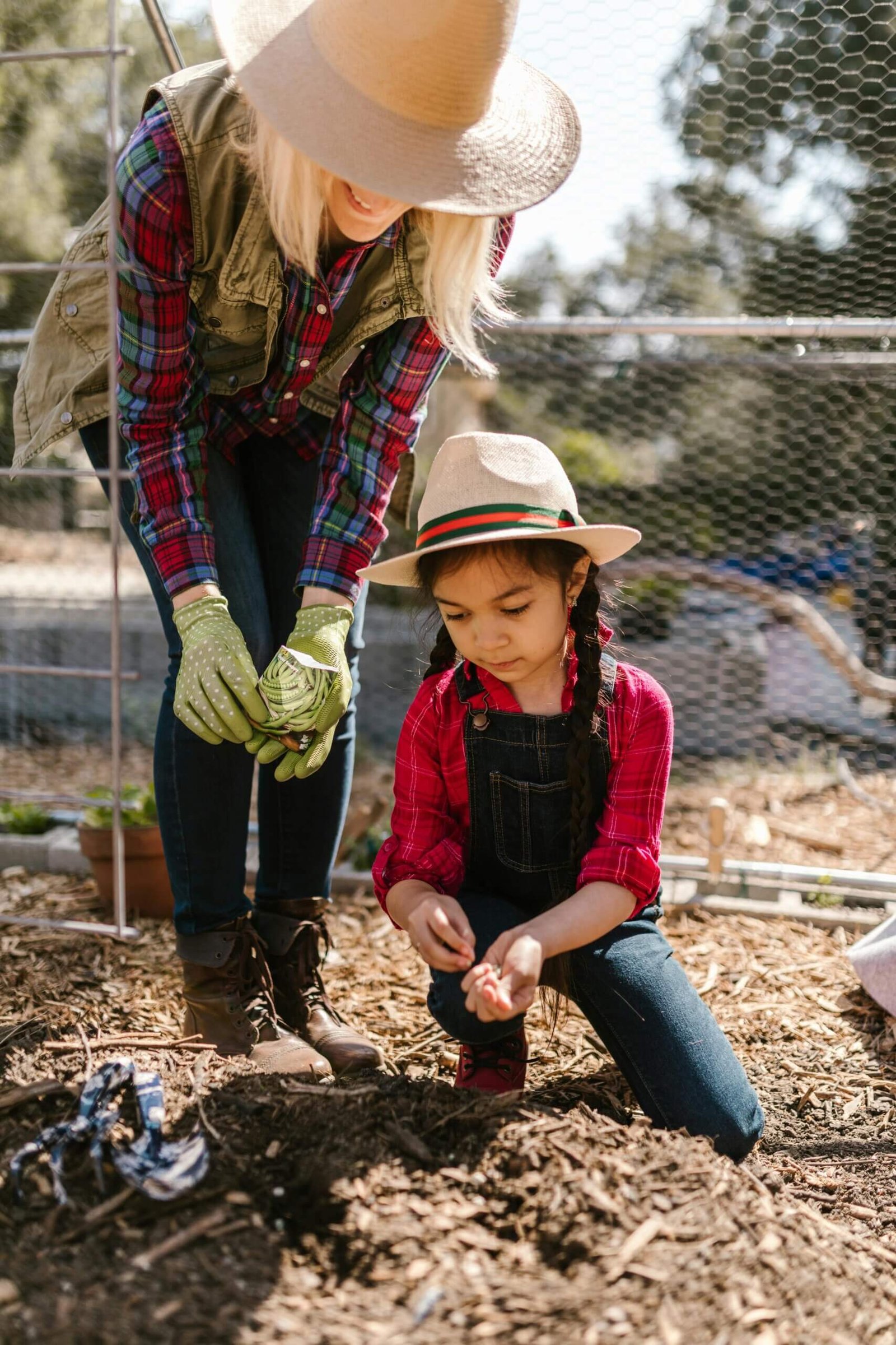 how to start a food forest sustainably 6 scaled