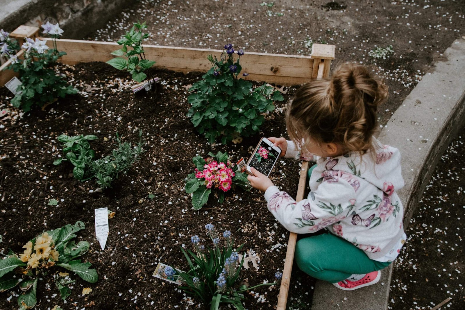 what is a community garden and why are they important 6 scaled